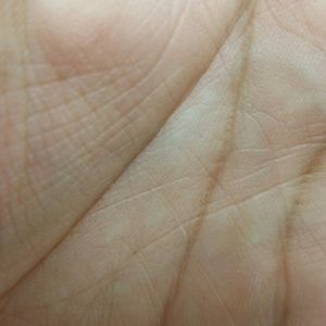 Meet your Posher, Paul